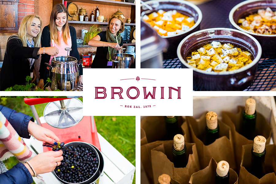 Browin - nasza firma